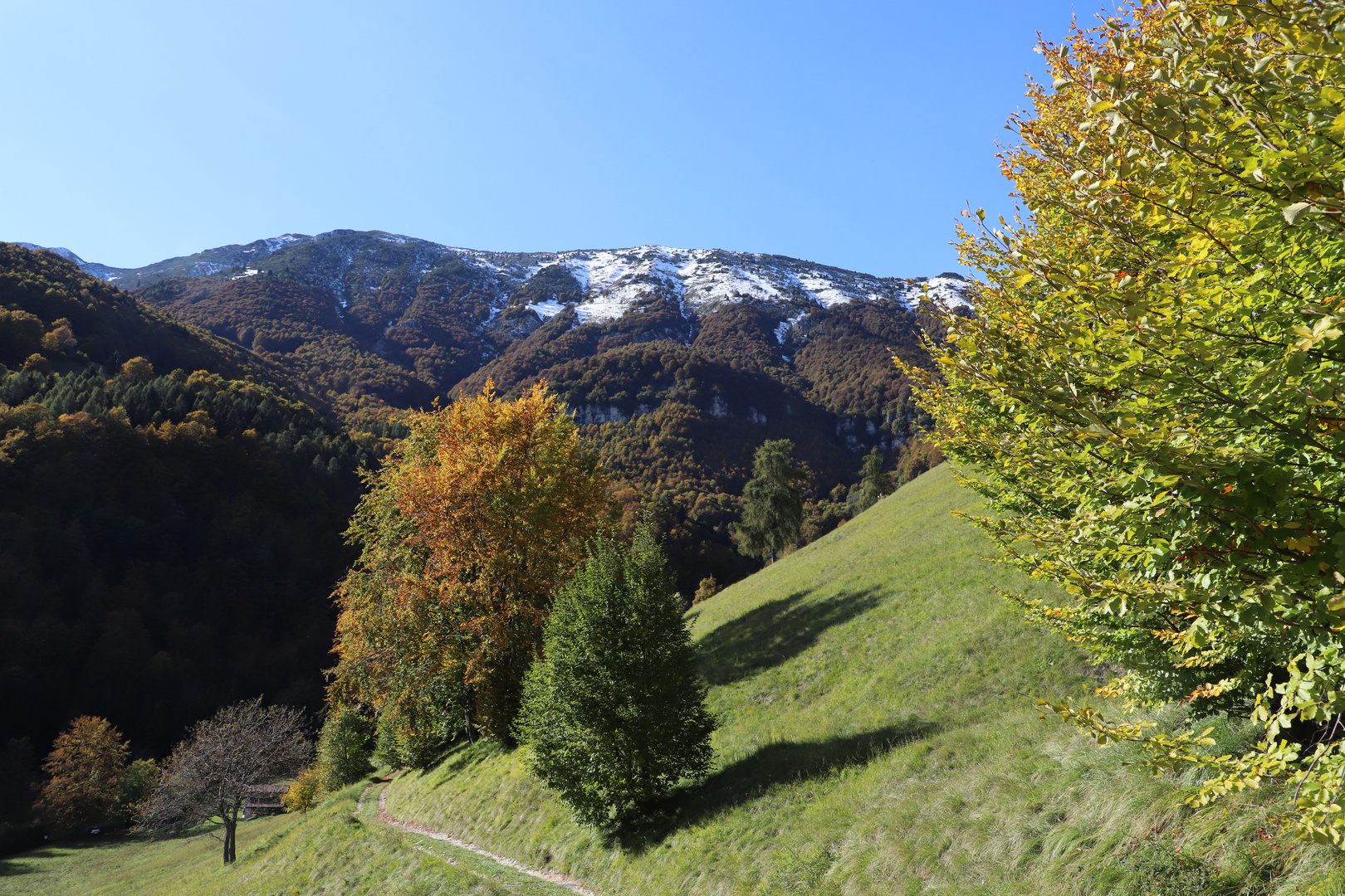 Herbst am Monte Baldo