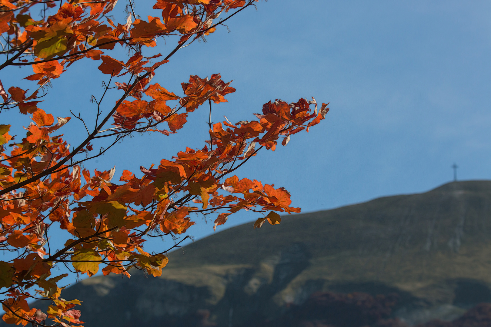 Herbst am Monte Catria