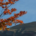 Herbst am Monte Catria