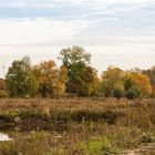 Herbst am Moor Wöste 2