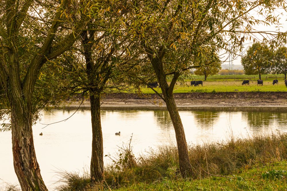 Herbst am Moor Wöste 3