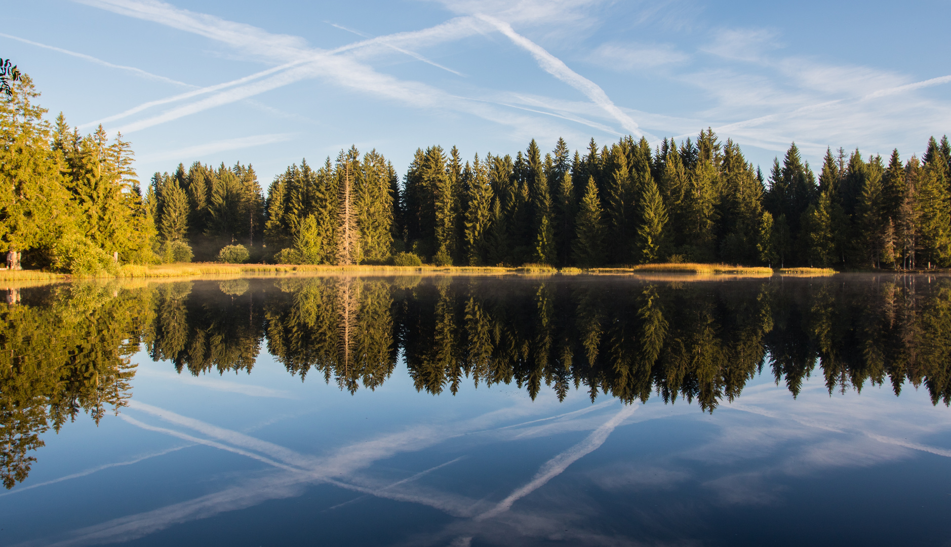 Herbst am Moorsee