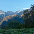 Herbst am Moorweiher