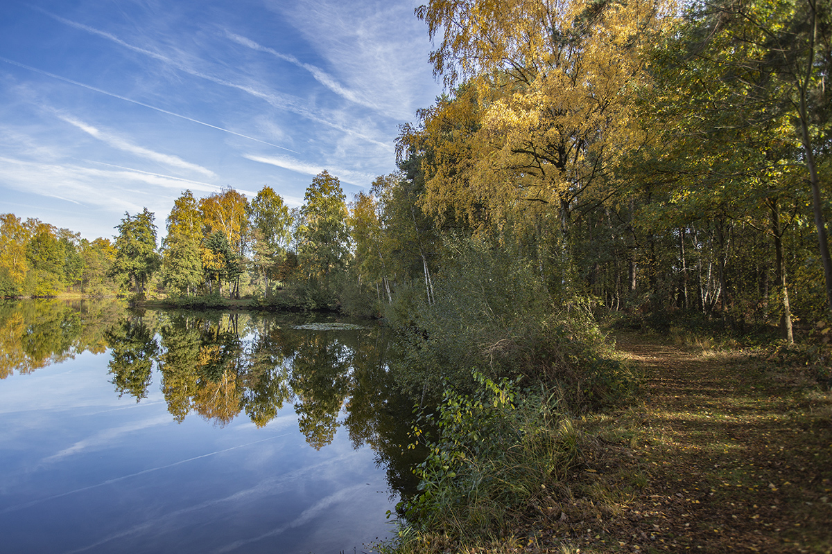 Herbst am Morgen