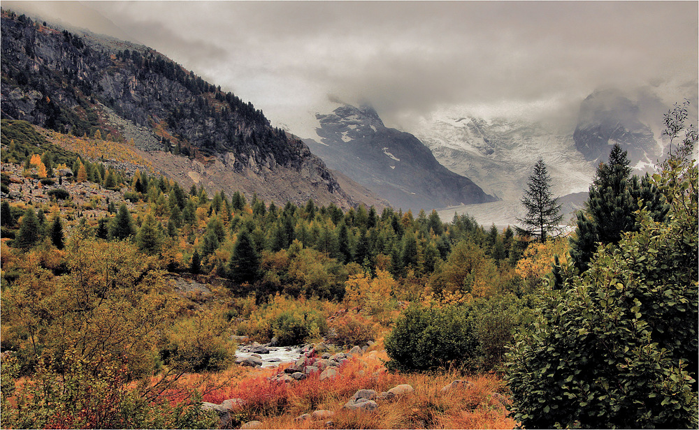 HERBST AM MORTERATSCH