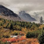 HERBST AM MORTERATSCH