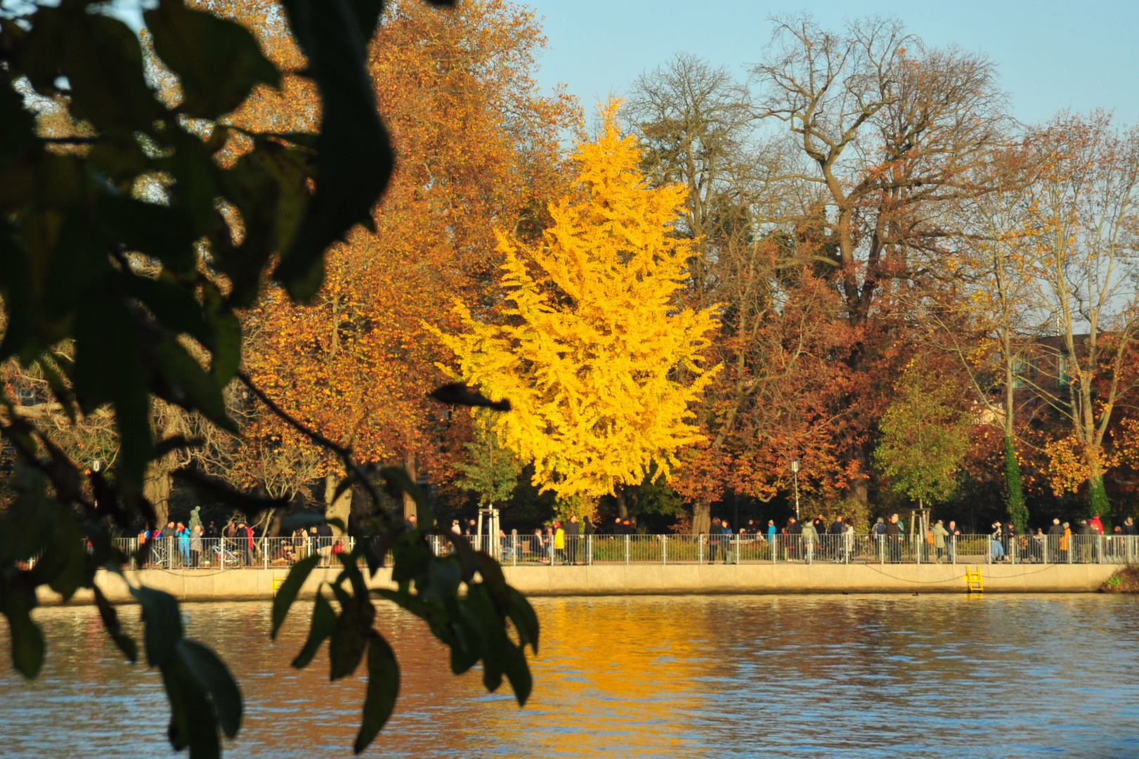 Herbst  am Müggelsee 1