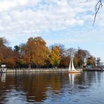 Herbst am Müggelsee