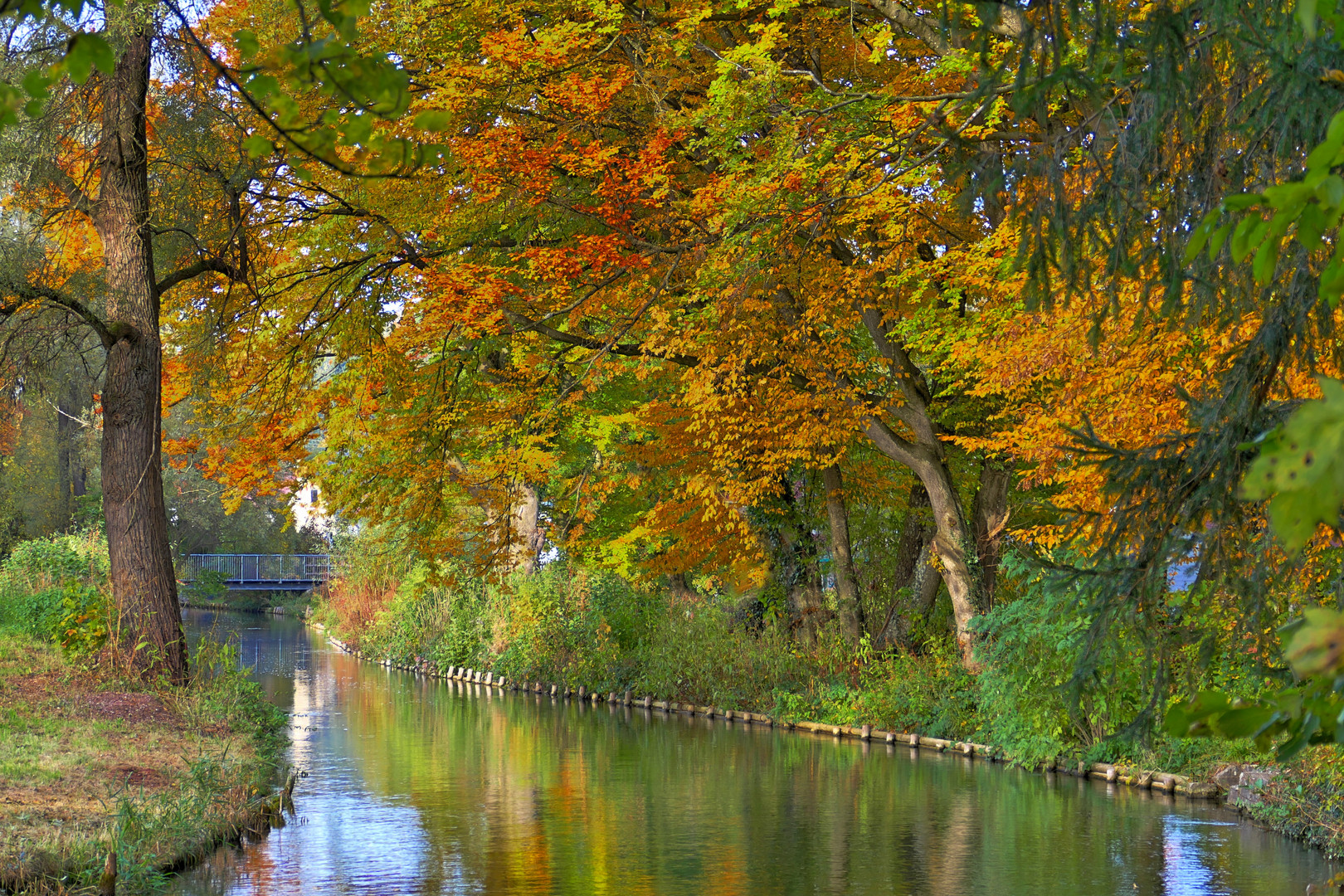 Herbst am Mühlbach ...