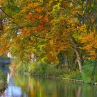 Herbst am Mühlbach ...