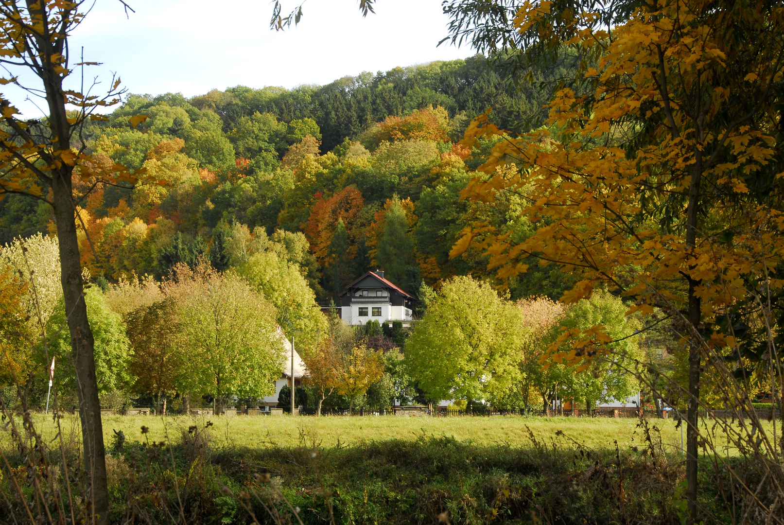 Herbst am Mühlberg bei Crossen