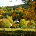 Herbst am Mühlberg bei Crossen