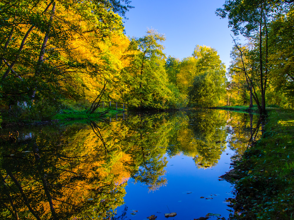 Herbst am Mühlengraben