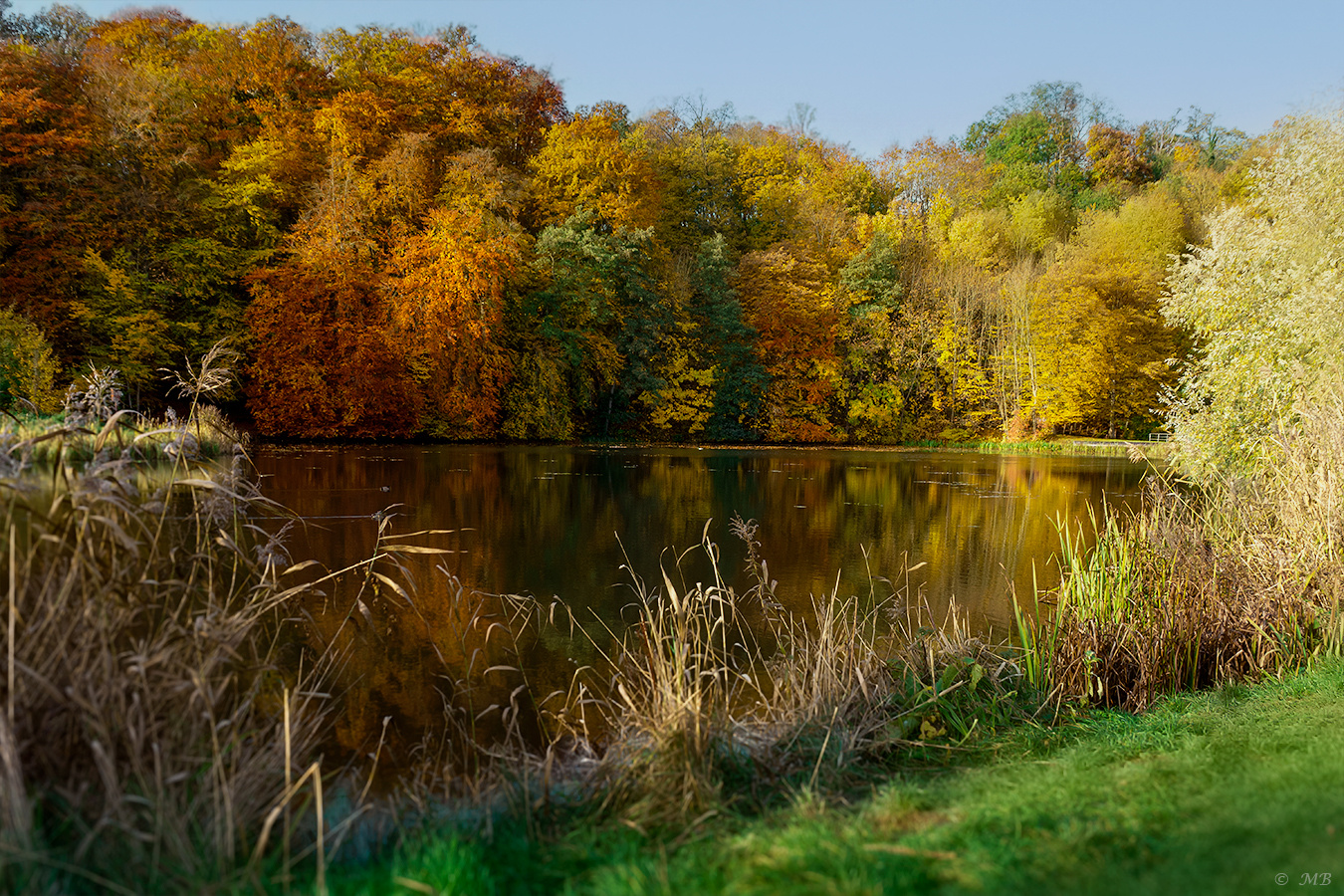 Herbst am Mühlenteich