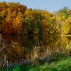 Herbst am Mühlenteich