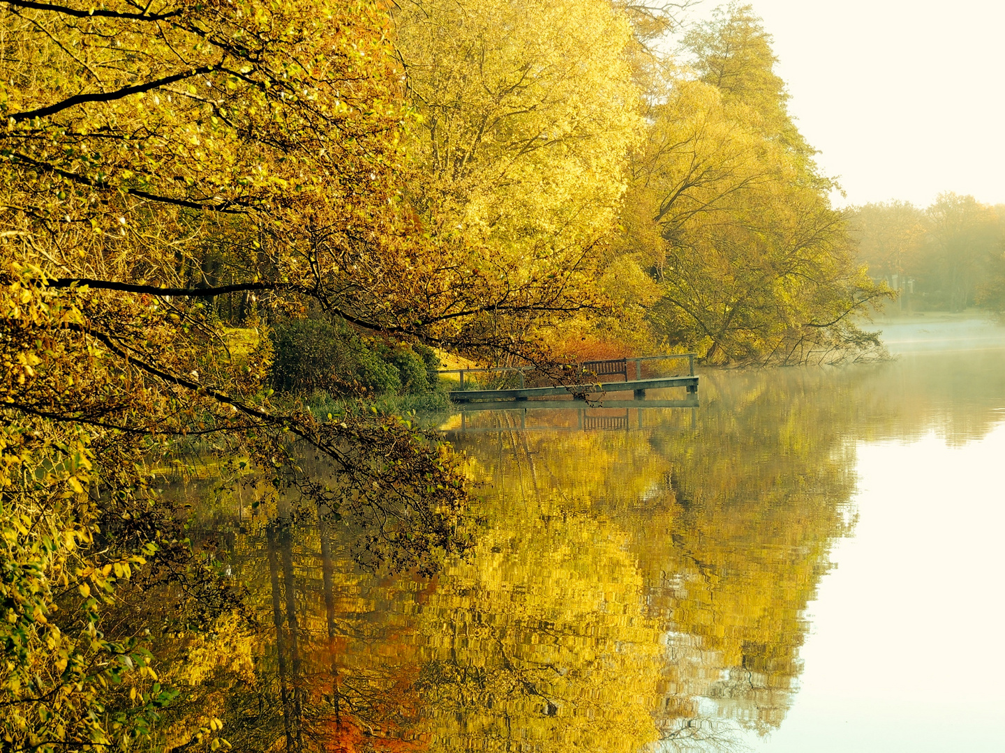 Herbst am Mühlenteich