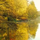 Herbst am Mühlenteich