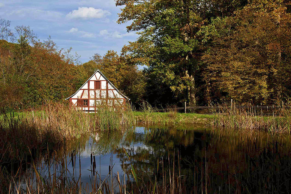 Herbst am Mühlenteich