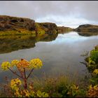 herbst am myvatn