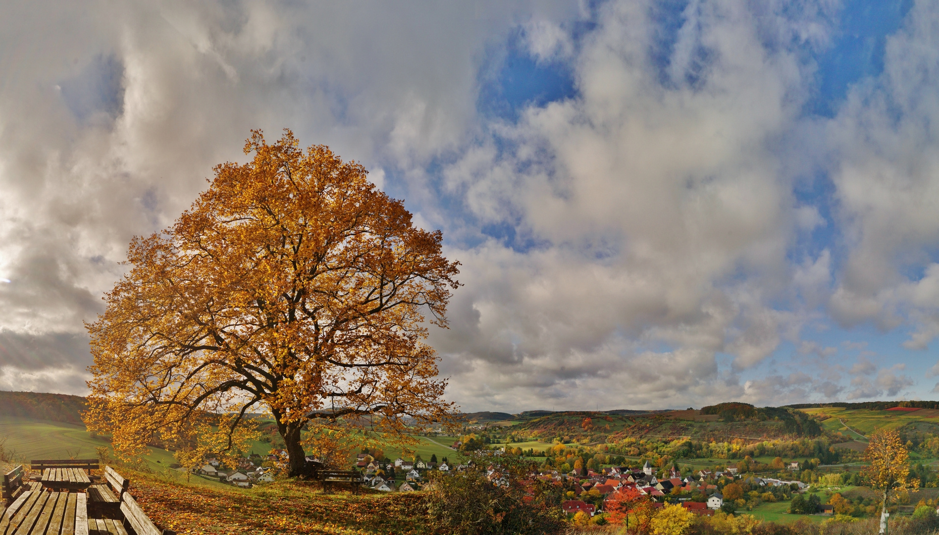 Herbst am Naturdenkmal Friedenslinde.