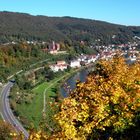 Herbst am Neckar