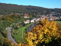 Herbst am Neckar