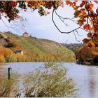 HERBST AM NECKAR 2