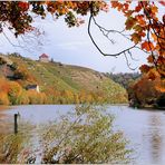 HERBST AM NECKAR 2