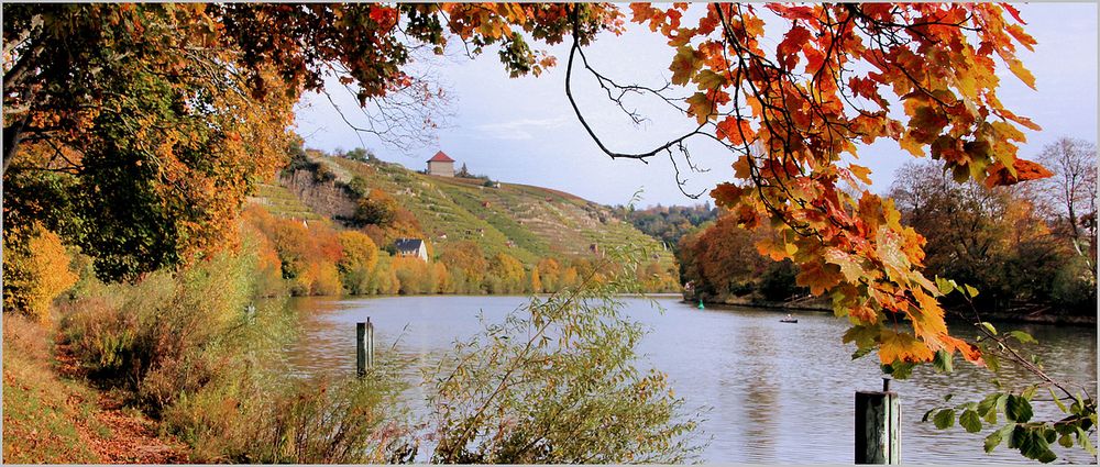 HERBST AM NECKAR 2