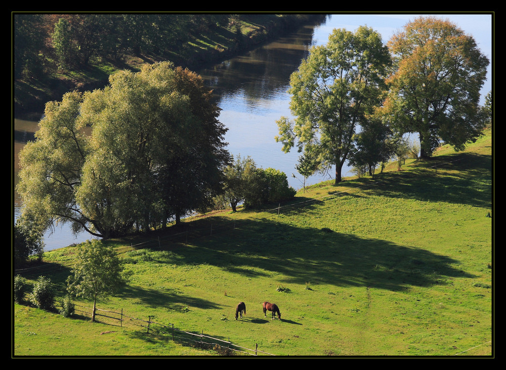 Herbst am Neckar...