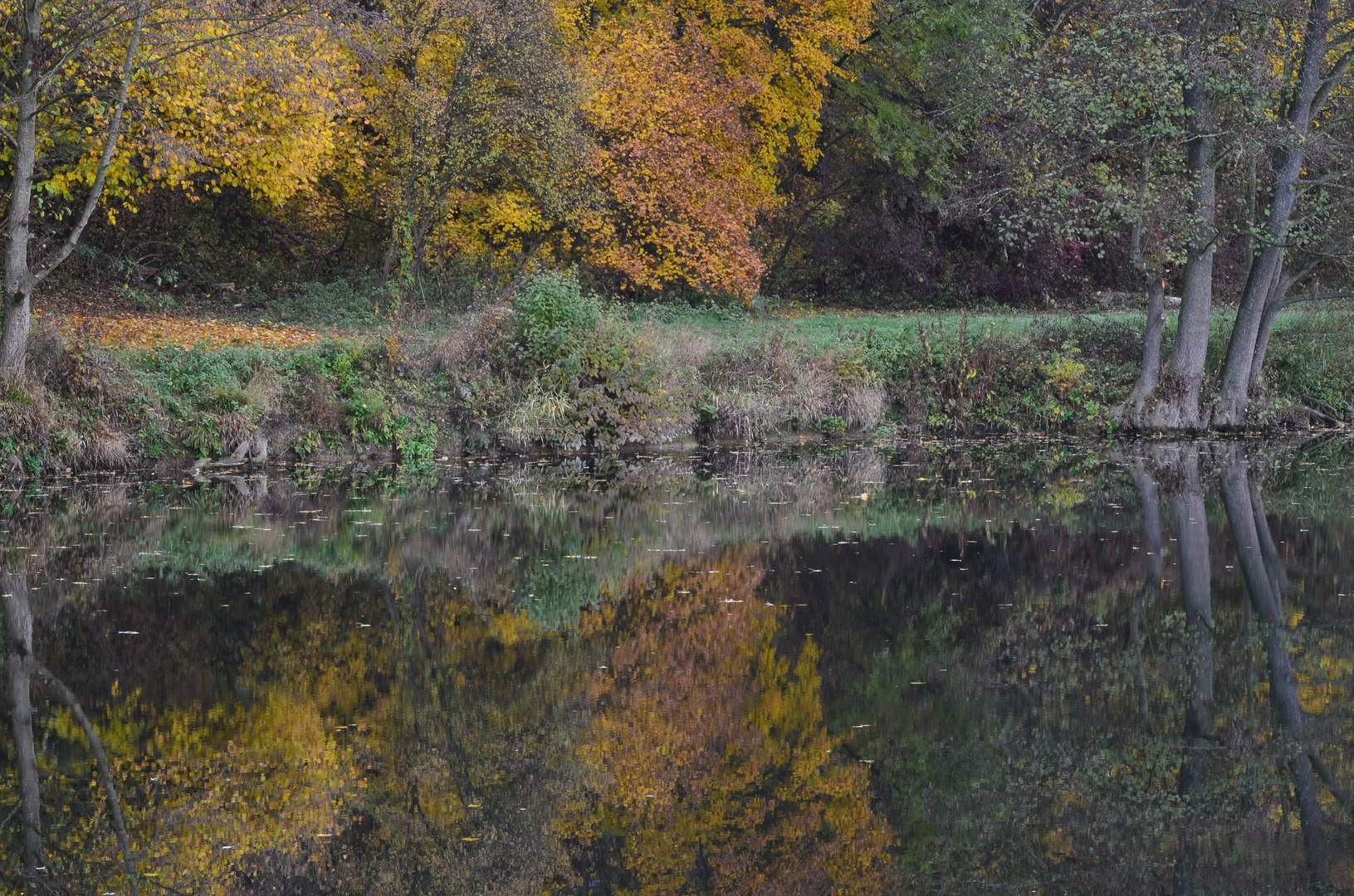 Herbst am Neckar