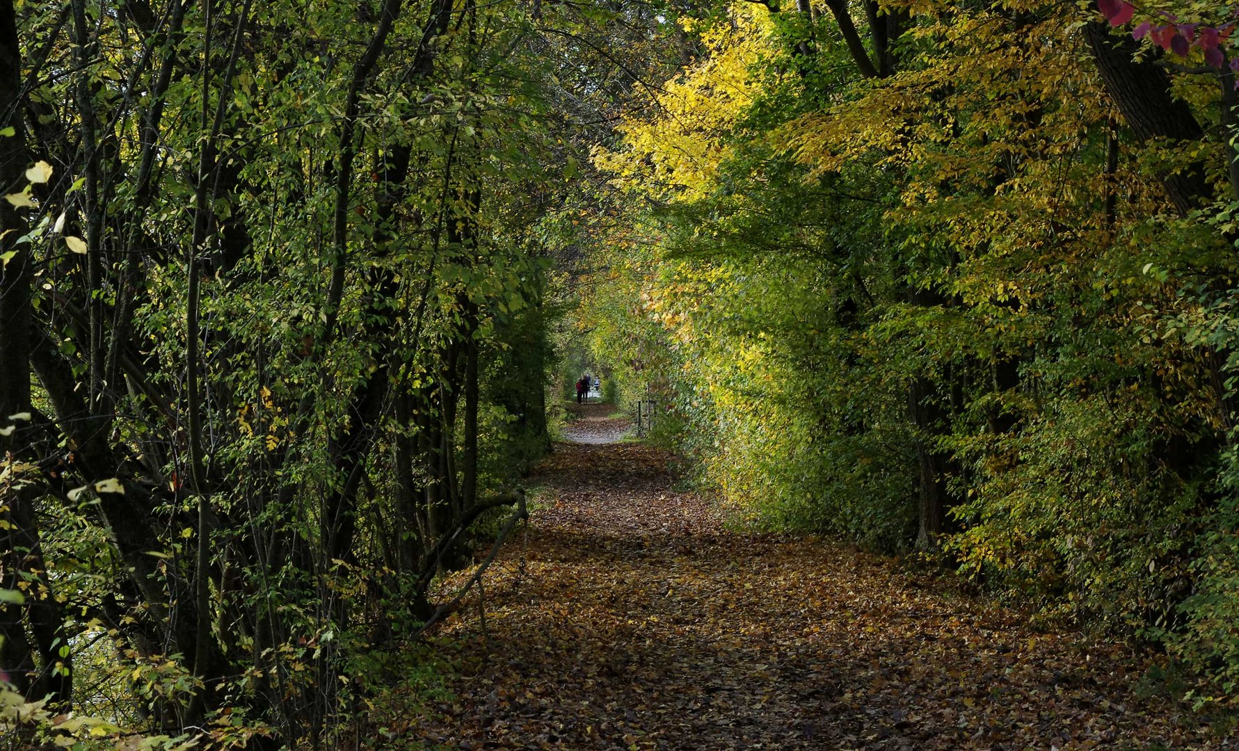 ..Herbst am Neckar