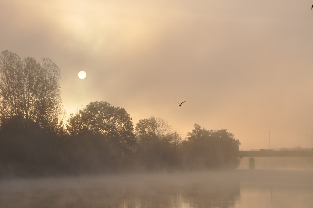 Herbst am Neckar