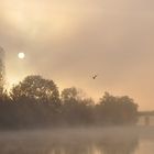 Herbst am Neckar