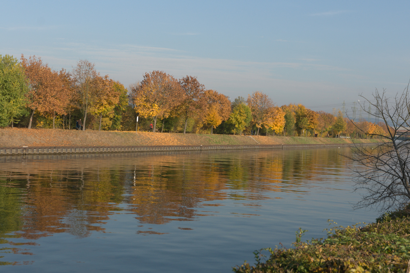 Herbst am Neckar