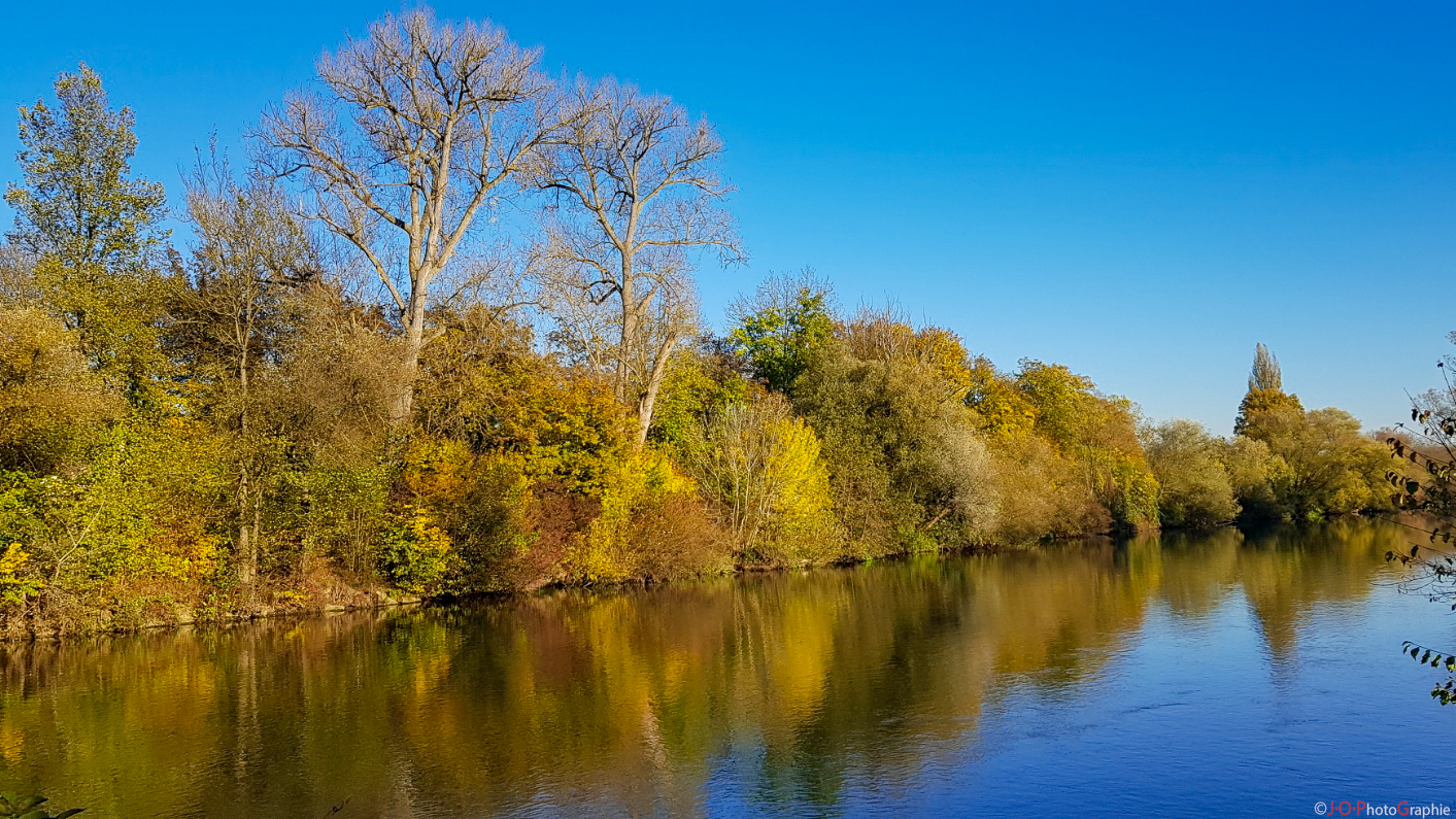 Herbst am Neckar