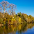 Herbst am Neckar