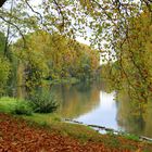 Herbst am Neckar 