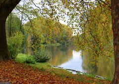 Herbst am Neckar 