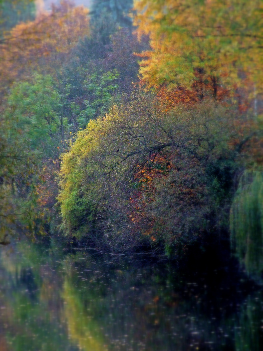 Herbst am Neckar