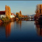 Herbst am Neckar