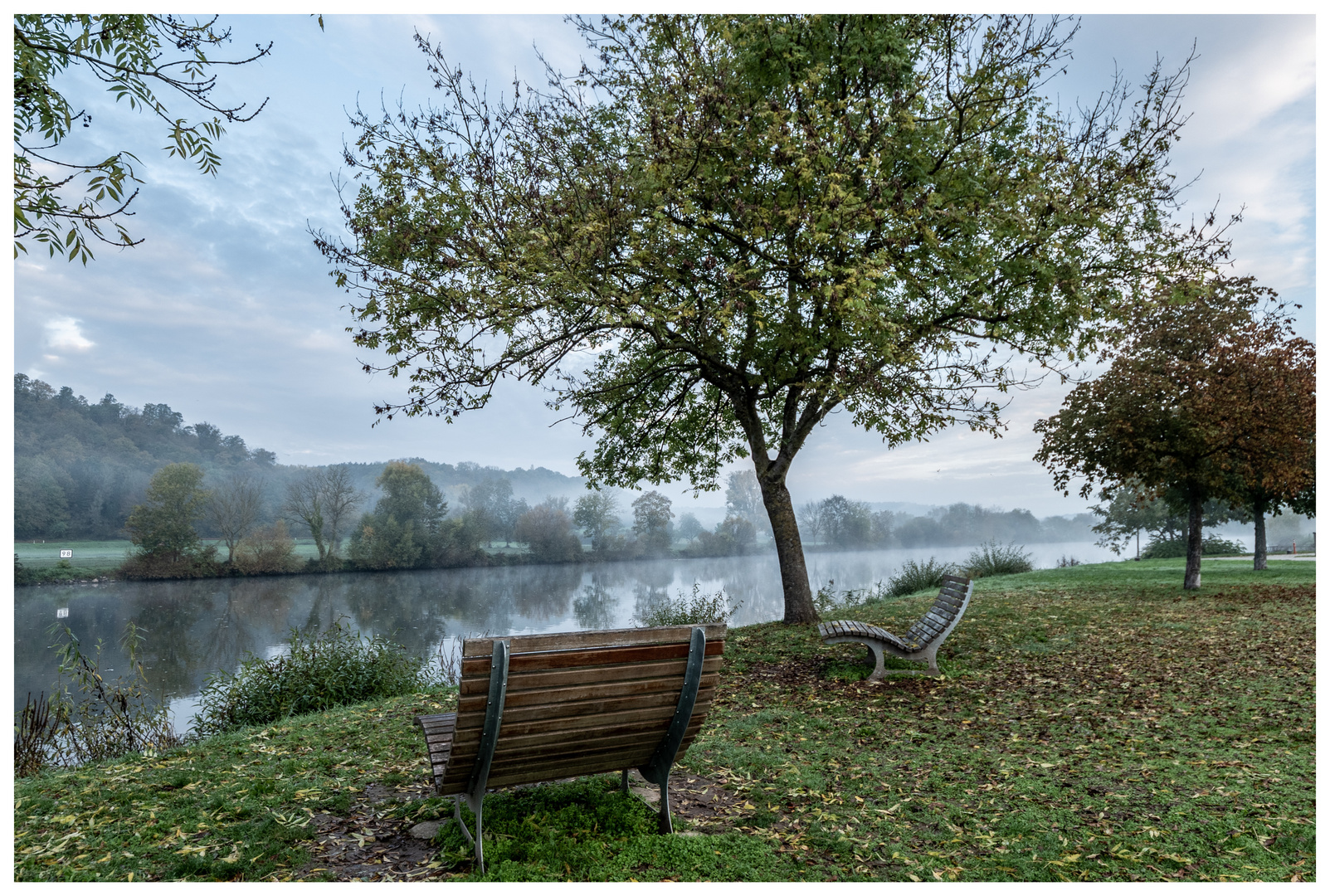 Herbst am Neckar