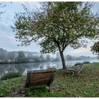 Herbst am Neckar