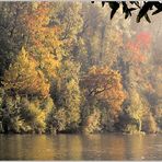 HERBST AM NECKAR