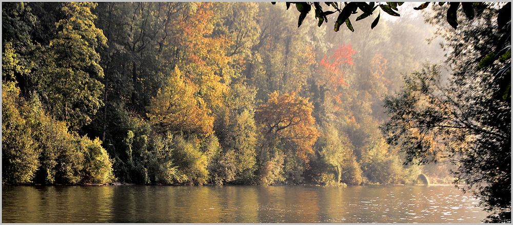 HERBST AM NECKAR