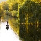 Herbst am Neckar