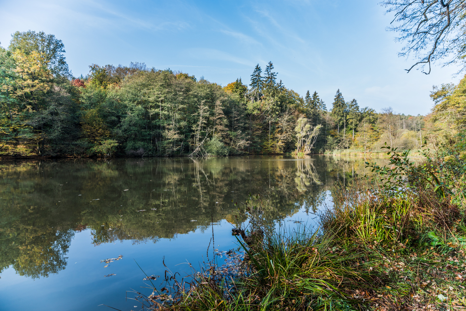 Herbst am Netzbachweiher (2)