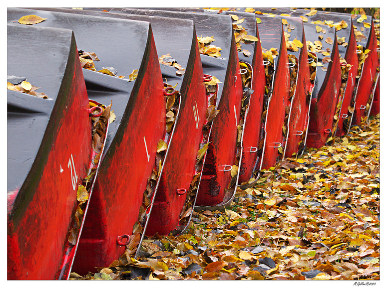 Herbst am Neuen See