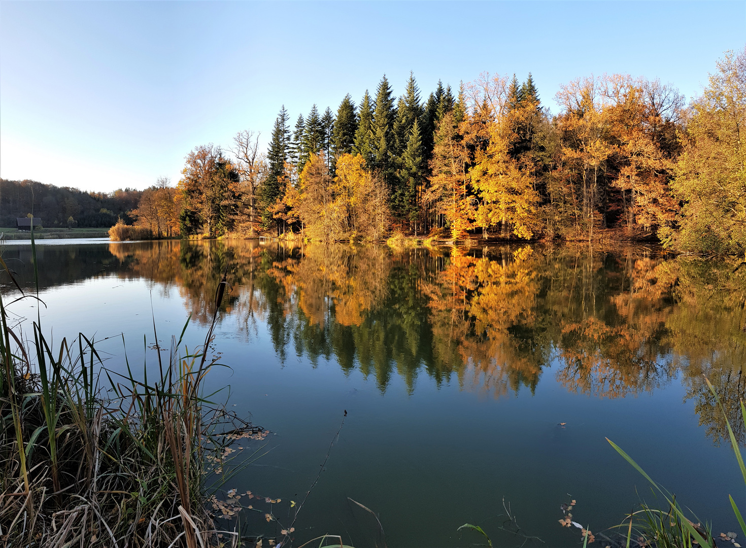          Herbst am Neumühlsee mit Spiegelung