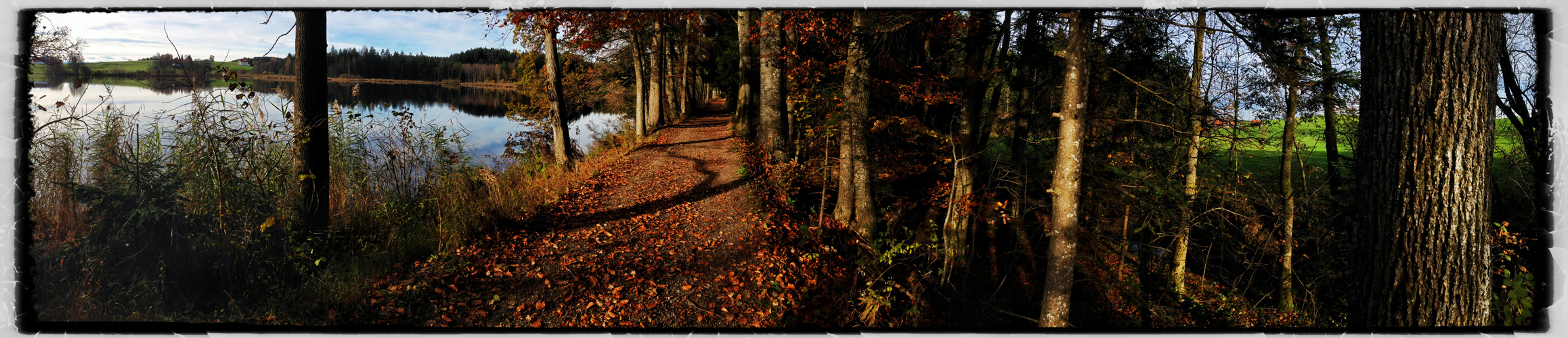 Herbst am Neuweiher...